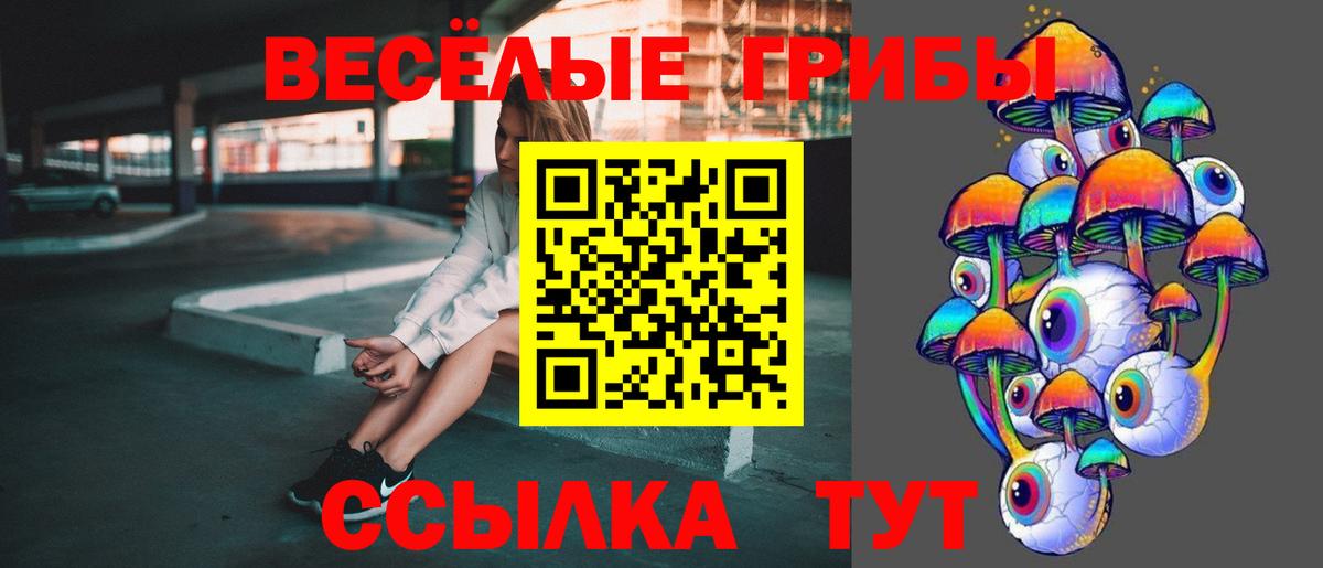 Новочеркасск  Псилоцибиновые грибы Magic Shrooms  Вход с VPN  Псилоцибиновые грибы Psilocybe 